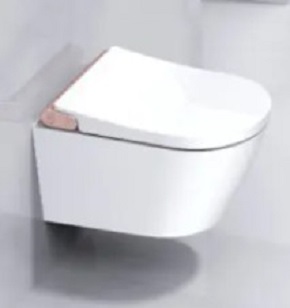 Square akıllı tuvalet tedarikçileri akıllı sanitasyonun geleceğini nasıl şekillendiriyor?